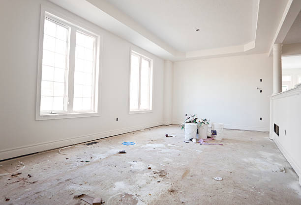 Trusted Gulfport, FL Mold Removal Experts